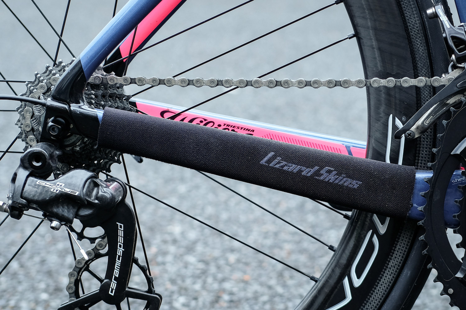 Lizard Skind チェーンステー