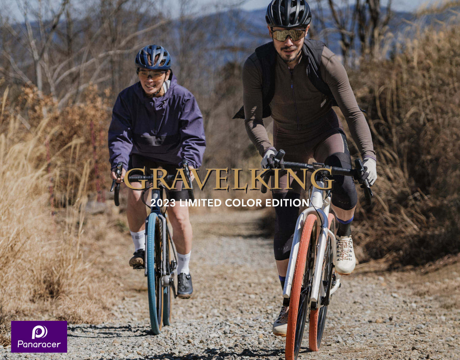 gravel king bike tires