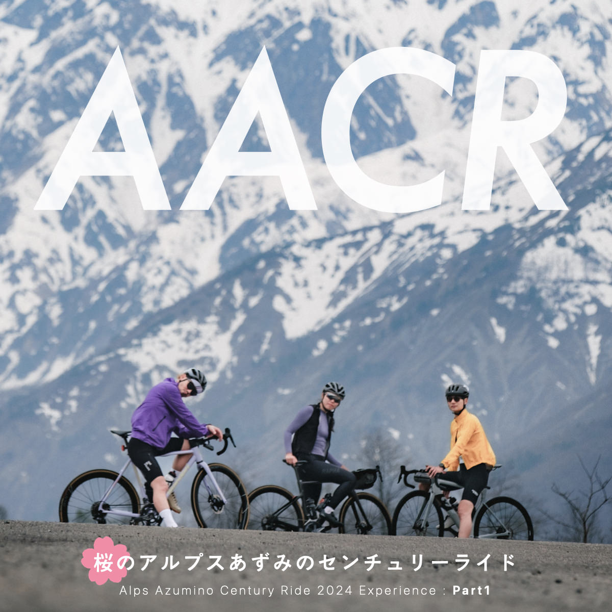AACR2024】疾走！アルプスあずみのセンチュリーライドへ行こう